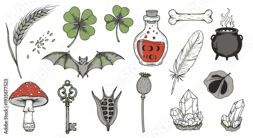 Mystical Collection of Witchy Symbols Bat Mushroom Key Potion Bone Cauldron Crystal and Botanicals