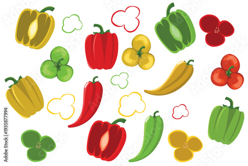 Sweet bell pepper set in orange, yellow, green and red colors. Fresh colorful vegetables for culinary and design projects.