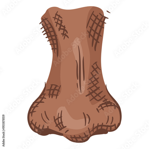 Nose hand drawn color