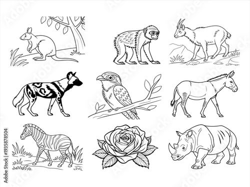 the animal, bird, and flower black vector bundle