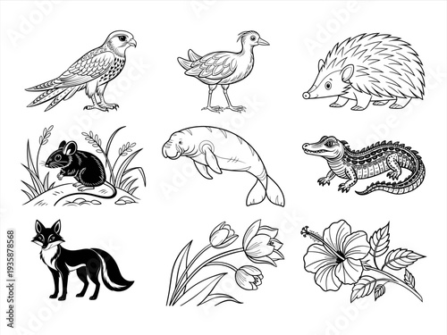 the animal, bird, and flower black vector bundle