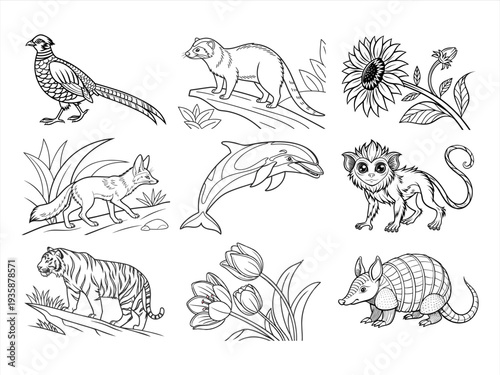 the animal, bird, and flower black vector bundle