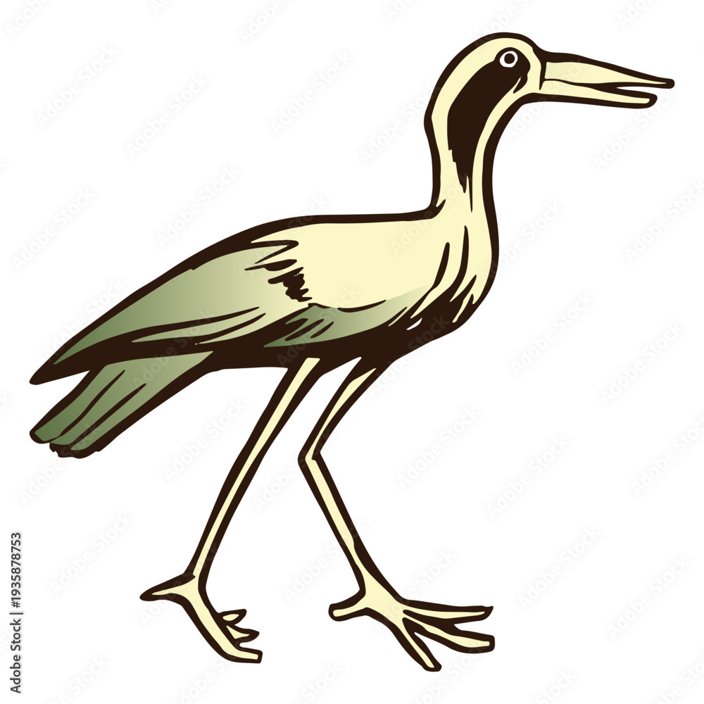 Fototapeta premium Green and brown bird color stroke