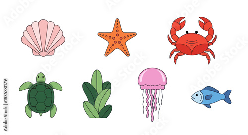 Ocean creatures illustration