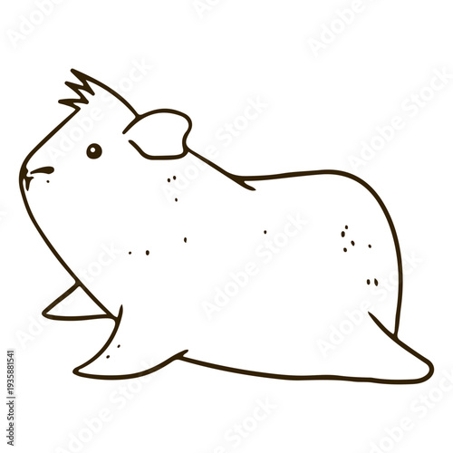 Hairless guinea pig laying stroke