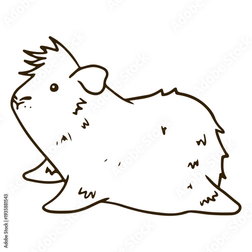 Messy guinea pig laying stroke