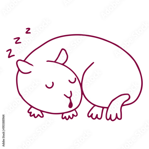 Sleeping guinea pig stroke