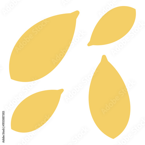 Nature plant seeds icon