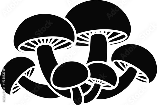 Cluster of Icon mushrooms with detailed gills on a white mushrooms, fungi, toadstool, nature