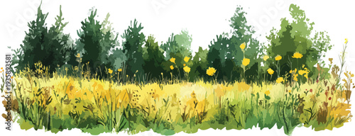 Grass on white and yellow backgrounds with flowers in a sunny meadow scene