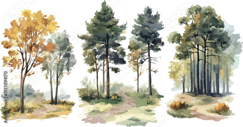 Autumn forest with colorful trees and scenic path