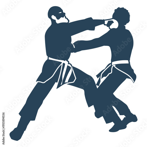 Karate practice fight simple people