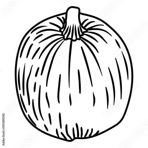 Pumpkin sketch icon
