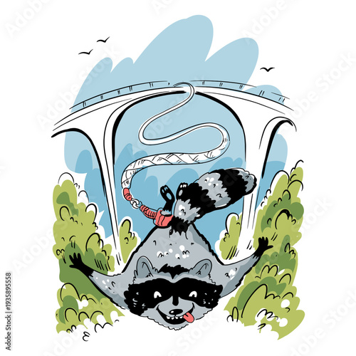 Raccoon bungee jumping