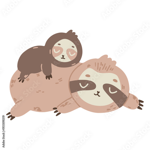 Cute sloths sleeping