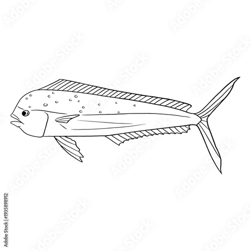 Canvastavla Swimming fish stroke