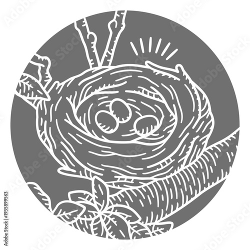 Bird nest natural element cut out