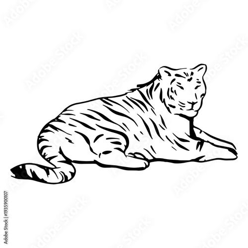 Tiger hand drawn laying