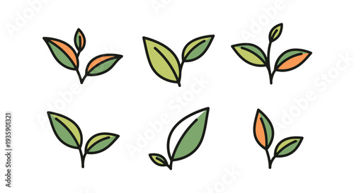 Tea leaves Line art vector minimal digital color illustration
