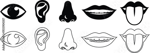 Variations of human facial features in black and white illustrations