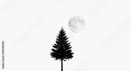 Silhouette of a Lone Tree under Moonlight.