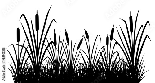 Cattails and reeds silhouette vector river bank wild grass EPS 10