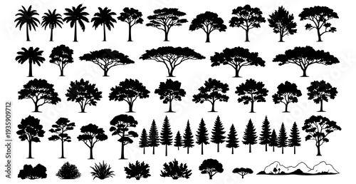 Big Collection of Tree Silhouettes from Different Climate Zones Isolated on White