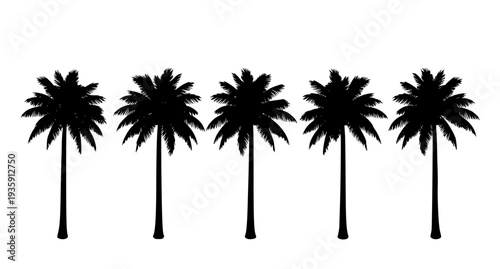 Five palm tree silhouettes vector minimalist tropical design EPS 10