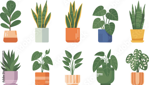 Set of diverse potted houseplants with colorful, contemporary pots, ideal for digital design and interior inspiration.