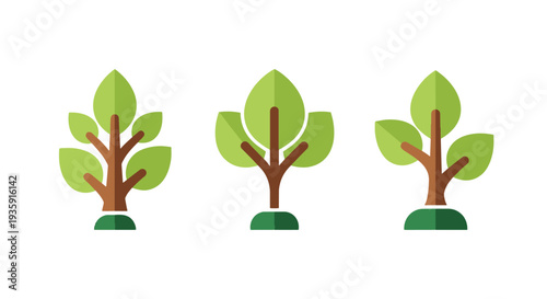 Tree sapling Line art vector modern bold tone illustration
