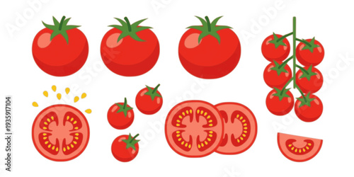 Fresh red tomatoes collection with whole sliced and cherry tomato vegetables flat vector illustration isolated

