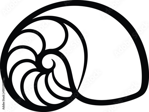 Nautilus shell spiral silhouette, marine sea shell illustration, ocean nature symbol, spiral fossil design element, coastal wildlife concept