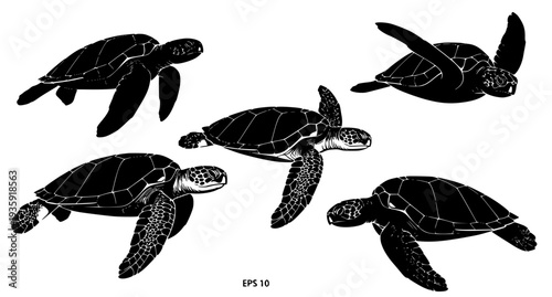 Sea turtle silhouette vector set swimming marine wildlife EPS 10