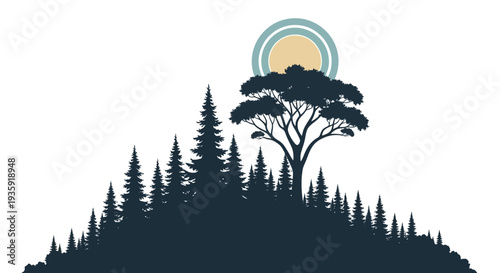 Silhouetted Trees on Hill with Sun.