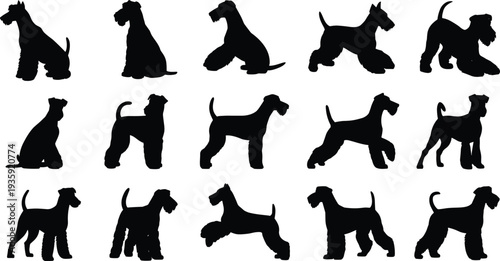 Dog silhouettes vector, fifteen canine poses, sitting standing walking running illustration, black animal design icons, pet posture artwork, terrier style