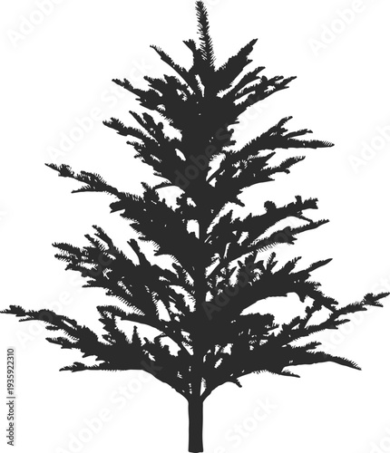 Coniferous tree black silhouette. Woodland flora icon