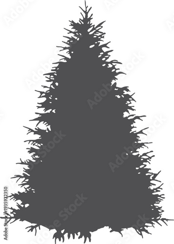 Spruce black shape. Forest evergreen tree silhouette