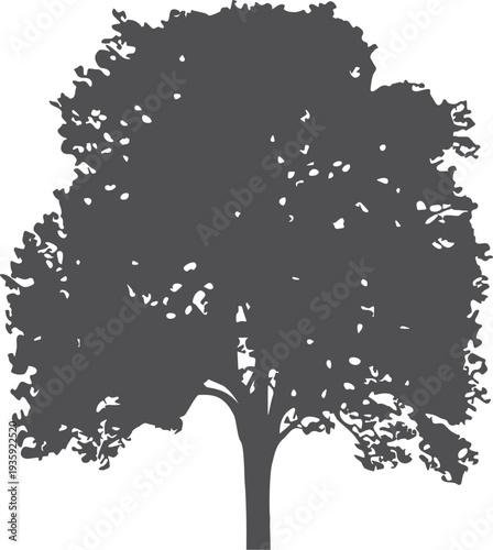 Garden tree icon. Growing plant black silhouette