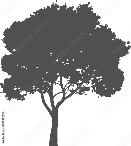 Woodland plant black silhouette. Forest tree icon