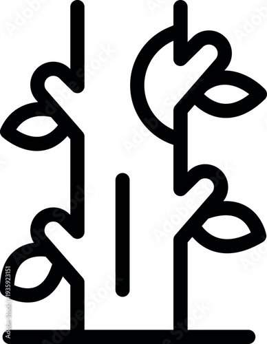 Cacao tree growing, symbolizing chocolate production, sustainable agriculture, and tropical climates