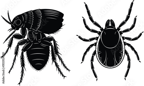 Flea and tick parasite insects silhouette pest control animal parasite bug vector illustration isolated veterinary infestation concept