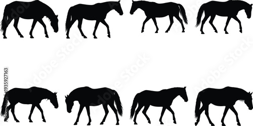 Eight distinct black horse silhouettes depicting walking and head-down grazing poses on a plain background.