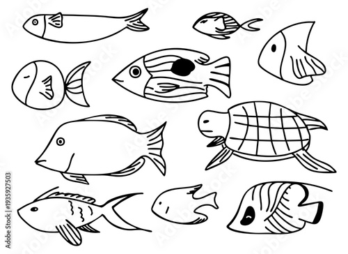 Doodle set of Fish and Turtles from Red Sea. Outlines of various types of marine life. Underwater animal Coloring pages. Contour Collection of ocean elements. Hand-drawn, simple. Vector illustration