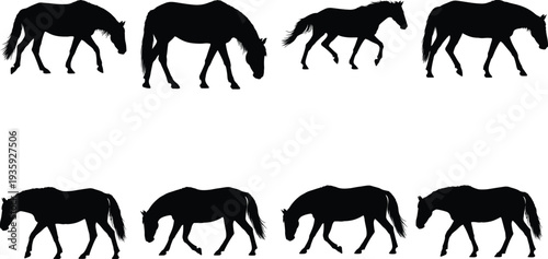 Eight black horse silhouettes demonstrating diverse poses including walking and grazing on a clean white background.
