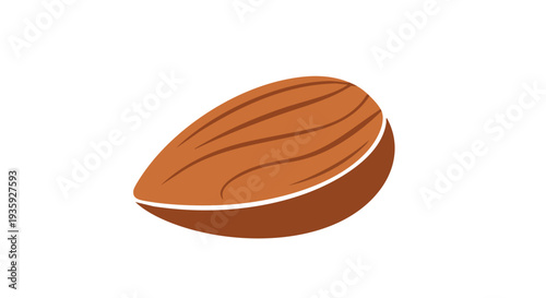 Single brown almond nut vector illustration