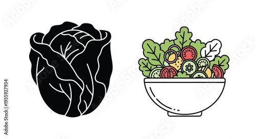 Cabbage and salad illustration a comparison of styles and presentation