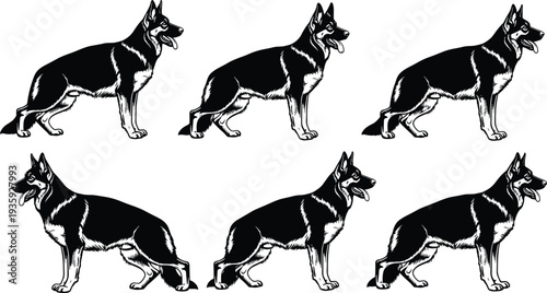 german shepherd dog silhouette set, standing and walking canine poses collection, pet animal vector illustration bundle