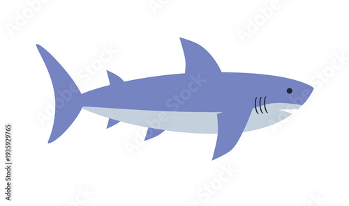 Minimalist blue shark vector illustration, flat cartoon style.