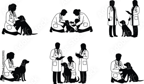 Veterinarian examining dog set veterinary doctor pet clinic checkup animal care medical treatment silhouette vector illustration collection