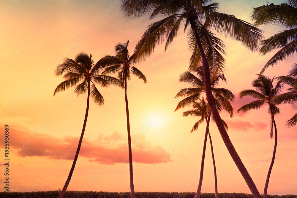 Obraz premium Tropical Palm Trees silhouette against a Colorful Sunset, Serene Nature Setting background 